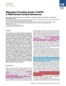 Maturation-Promoting Activity of SATB1