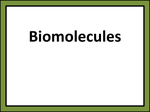 BAC 2 Biomolecules and water HKI Sept 2019