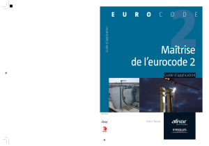[Jean Roux] Maitrise de l'eurocode 2-import