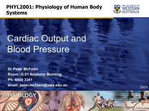 Cardiac Output and Blood Pressure Lect