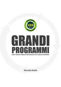 GRANDI-PROGRAMMI-ABSTRACT-23-PAGINE-1