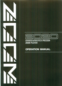 zoom 2020 zoom player usermanual