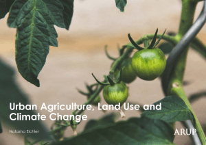 Urban Agriculture Arup Summary Report