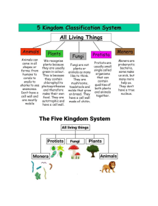 5 KINGDOMS