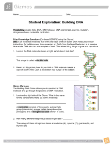 Building DNA Student worksheet