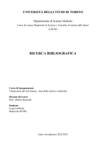 Ricerca Bibliografica - Luigi Goffredo 2023