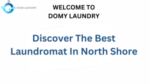 Discover The Best Laundromat In North Shore