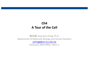 Ch 04 Cell