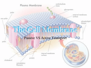 Cell Membrane and Cell Transport