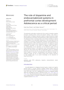 O papel da dopamina e dos sistemas endocanabinoides no desenvolvimento do córtex pré-frontal a adolescência como um período crítico