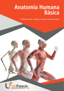 Anatomia Humana Básica(1)