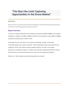 drone market