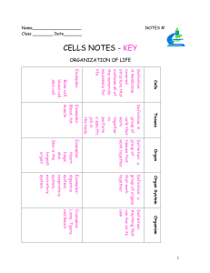Cells Notes.key