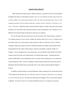 Full essay paragraph