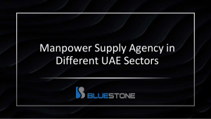 Manpower Supply Agency in Different UAE Sectors