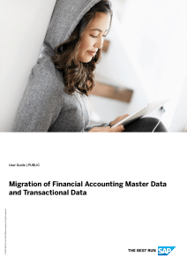 Migration of Financial Accounting Master Data and Movement Data EN SHIP