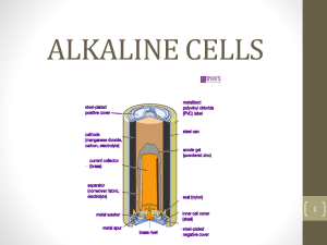 ALKALINE CELLS