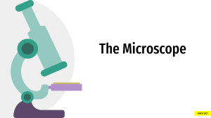 THE-MICROSCOPE