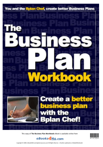 the business plan workbook (1)