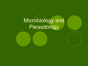 108930039-MICRO-Lecture-1-Introduction-to-Microbiology-and-Parasitology-1