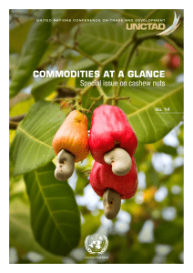 Cashew Commodity at a Glance