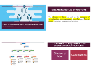 3. ORGANIZATIONAL STRUCTURE AND DESIGN