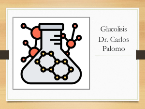 2.)Glicolisis