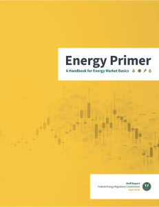 energy-primer-2020 Final[19] copy