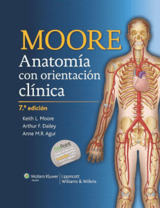 Moore Anatomia con orientacion clinica-BM21 (1)