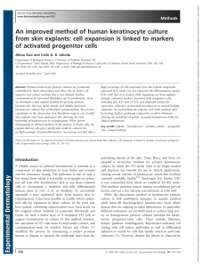 Experimental Dermatology - 2009 - Guo - An improved method of human keratinocyte culture from skin explants  cell expansion