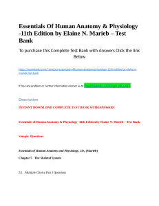 Essentials Of Human Anatomy   Physiology  11th Edition by Elaine N. Marieb     Test Bank.docx