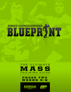Blueprint to mass phase 2