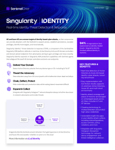 singularity-identity-ds