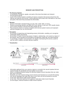 Sensation-and-Perception