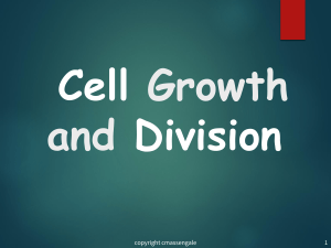Cell Cycle & Cell Division.ppt