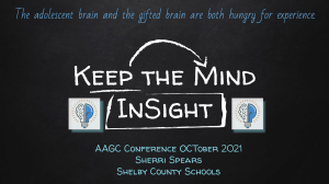  Keep the Mind InSight: A glance into the Gifted Adolescent Brain