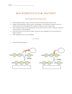 MacromoleculesCarbohydratesLipidsProteinsandMore-1