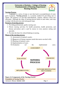 Nursing-Process