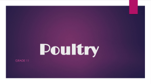 Information on poultry for CXC