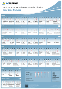 AOOTA Classification 2018 Poster 1807031108