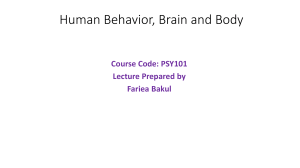 Unit 2- Human Behavior, Brain and Body
