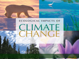 Climate Change: Ecological Impacts Presentation