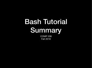 Comp206 Bash Tutorial