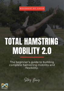 Total Hamstring Flexibility V2