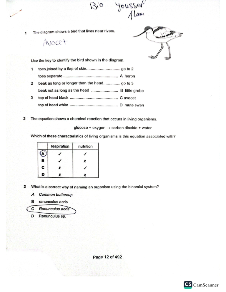 hw bio