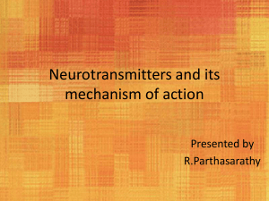 neurotransmittersanditsmechanismofaction-111226135437-phpapp02