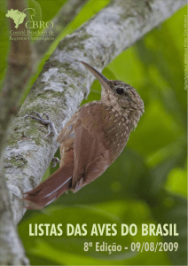 Lista aves brasil