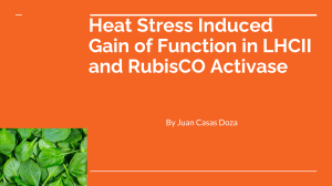 Heat Stress Induced Gain of Function in LHCII and RubisCO Activase