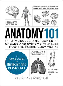 anatomy101