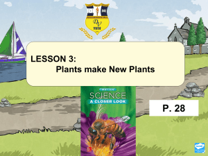 Plants make new plant p.30